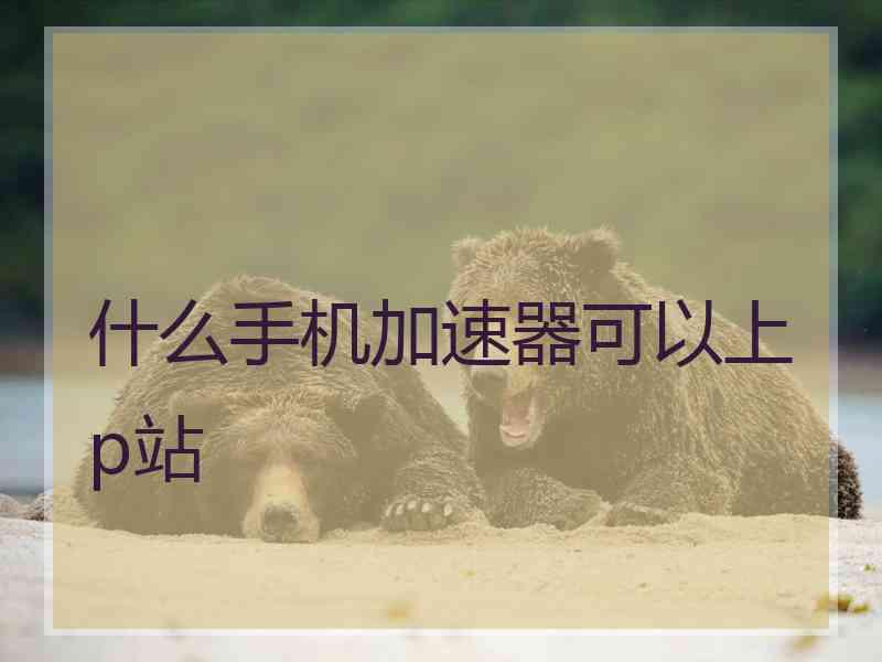 什么手机加速器可以上p站