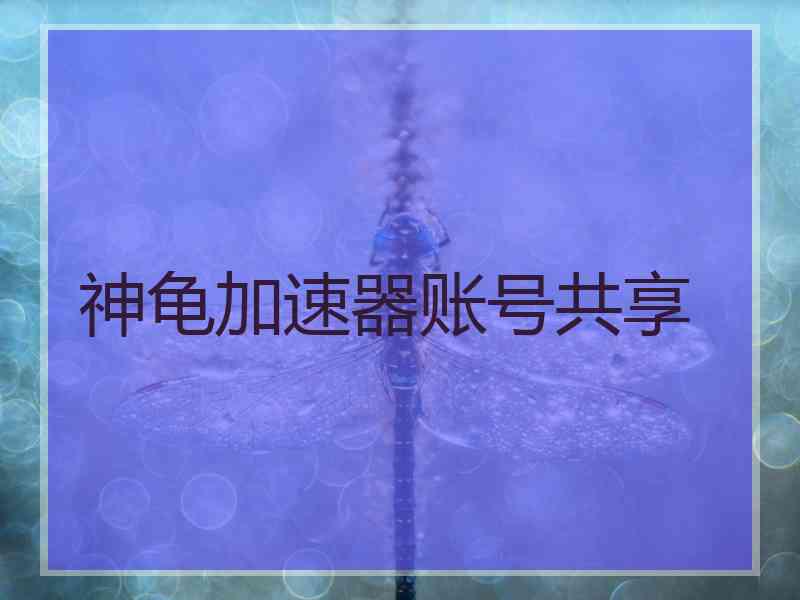 神龟加速器账号共享