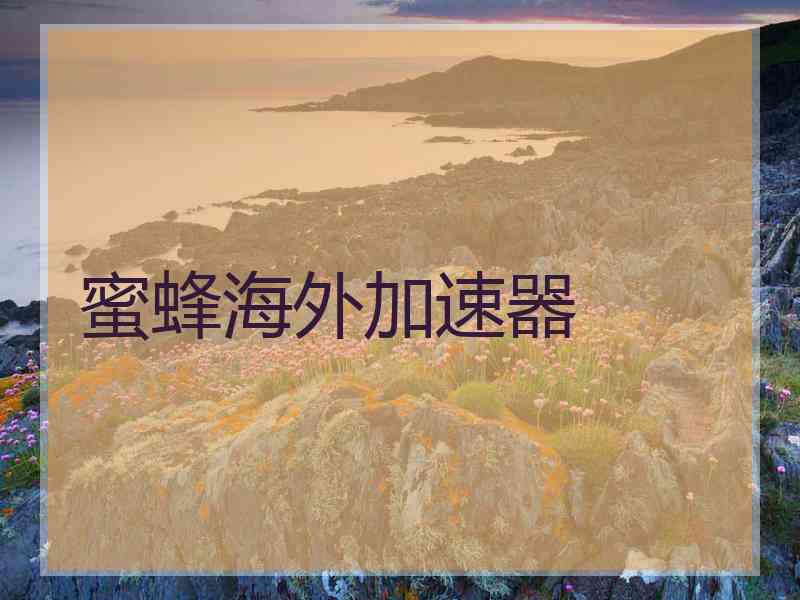 蜜蜂海外加速器