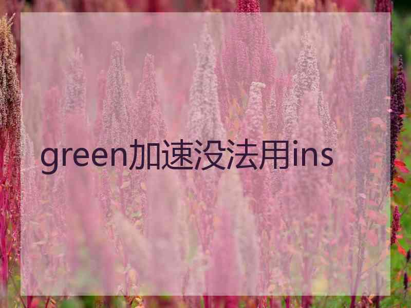 green加速没法用ins