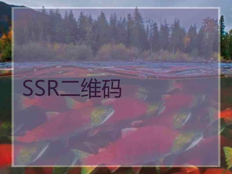 SSR二维码