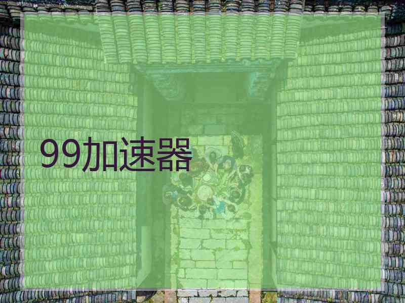 99加速器