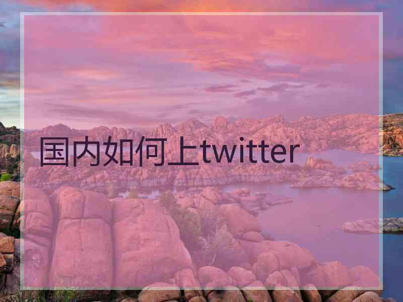 国内如何上twitter
