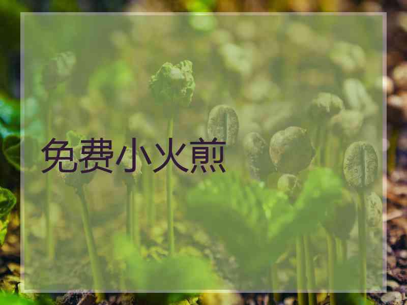 免费小火煎
