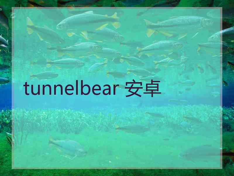 tunnelbear 安卓