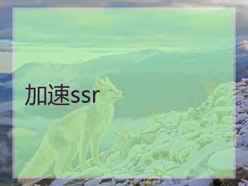 加速ssr