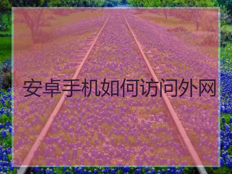 安卓手机如何访问外网