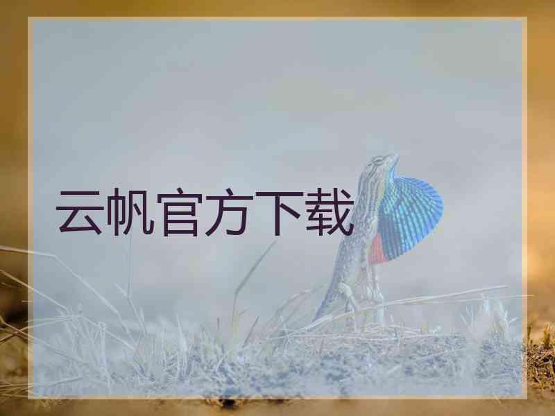 云帆官方下载