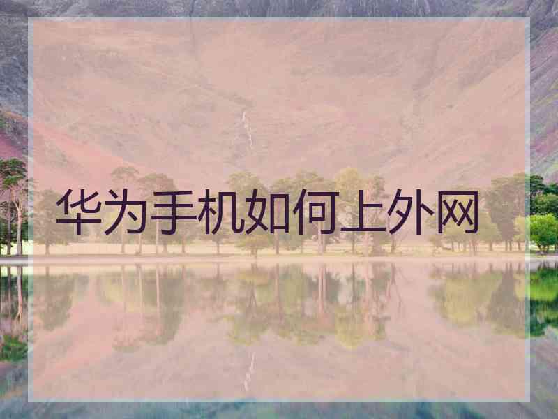 华为手机如何上外网