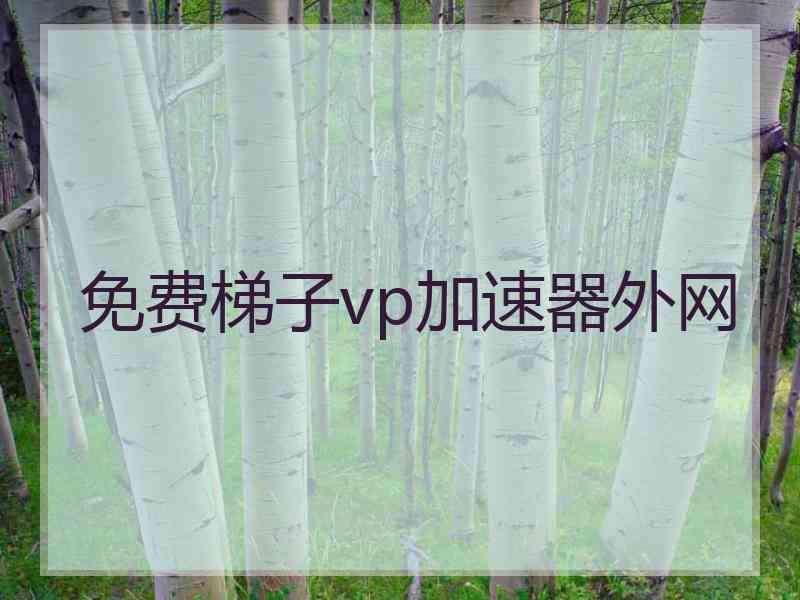 免费梯子vp加速器外网