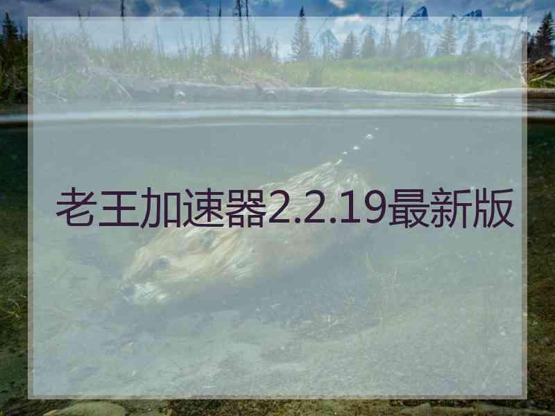 老王加速器2.2.19最新版