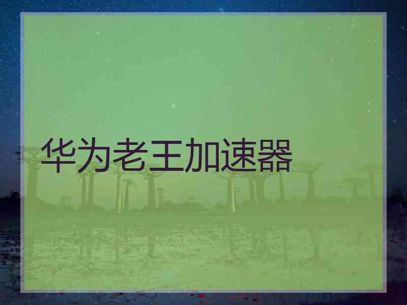 华为老王加速器