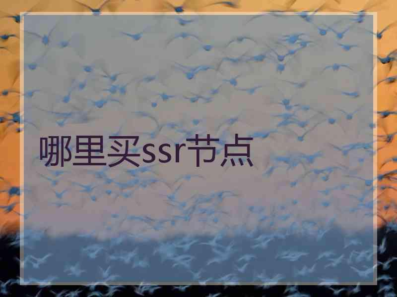 哪里买ssr节点