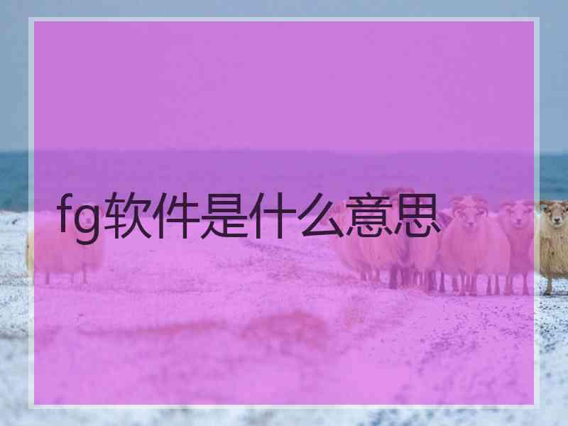 fg软件是什么意思