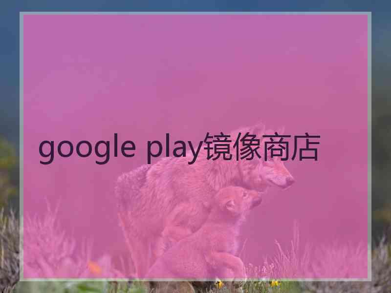 google play镜像商店