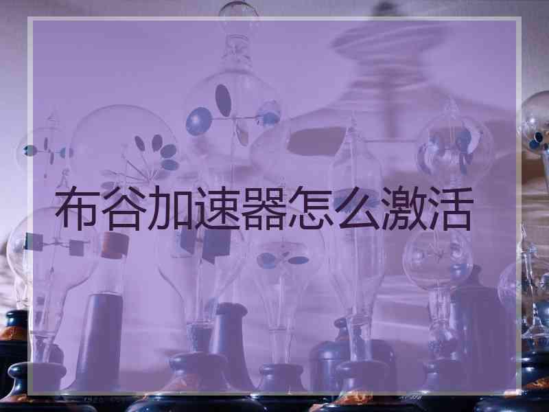 布谷加速器怎么激活