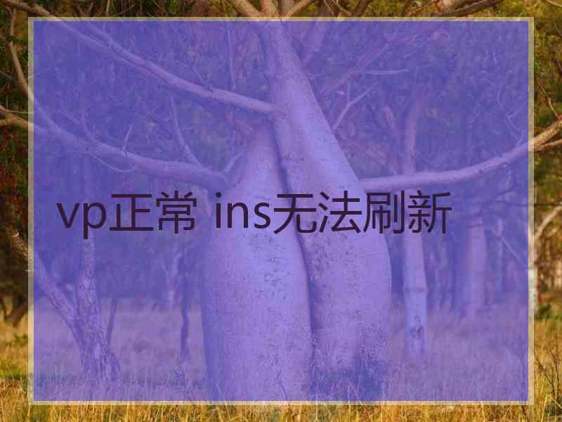 vp正常 ins无法刷新