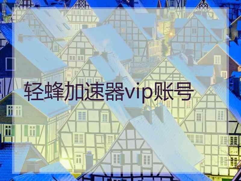 轻蜂加速器vip账号