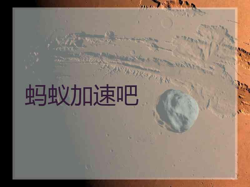 蚂蚁加速吧
