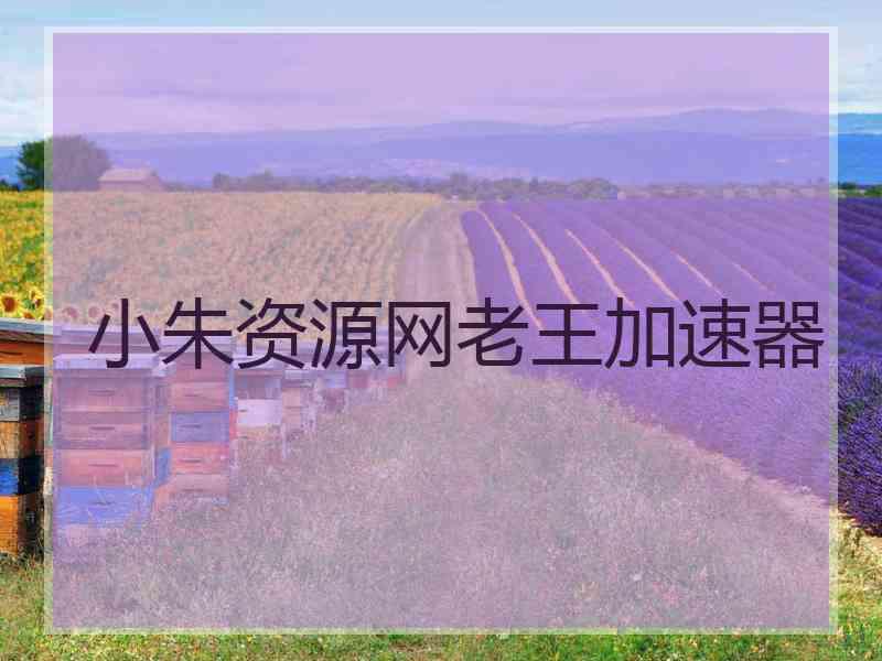 小朱资源网老王加速器