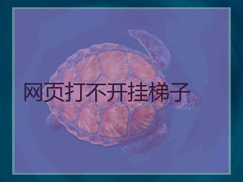 网页打不开挂梯子