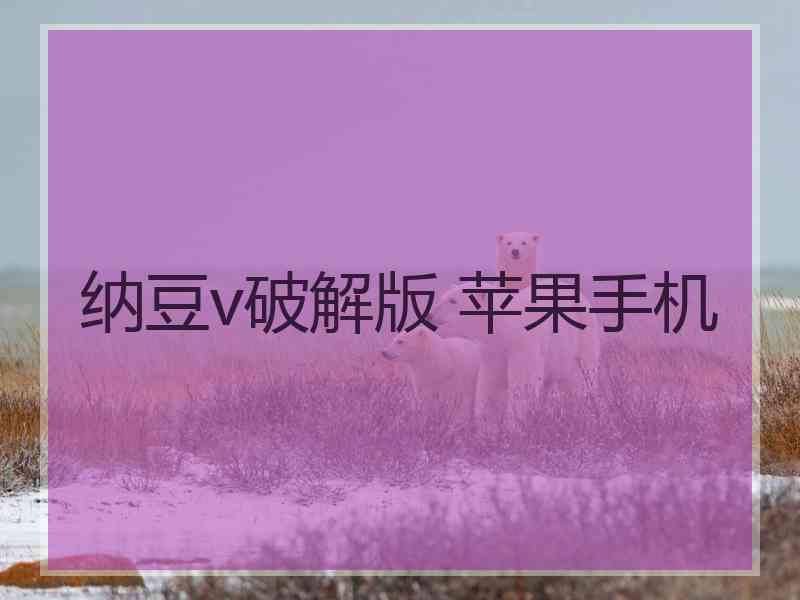 纳豆v破解版 苹果手机