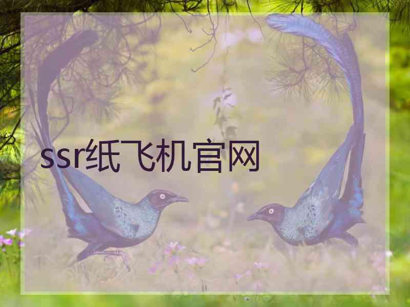 ssr纸飞机官网