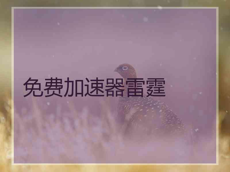 免费加速器雷霆