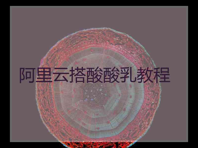阿里云搭酸酸乳教程