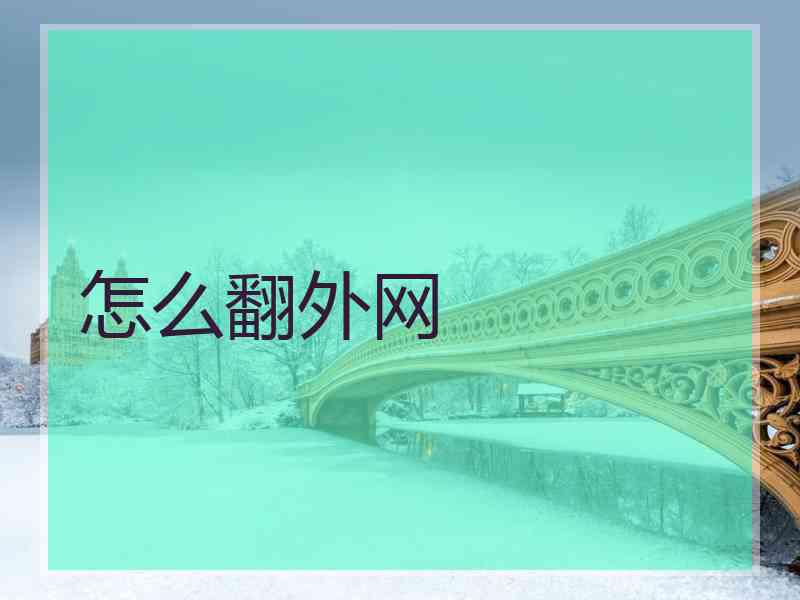 怎么翻外网