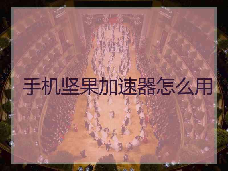 手机坚果加速器怎么用