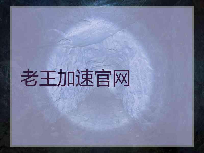 老王加速官网