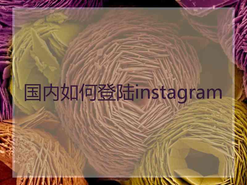 国内如何登陆instagram