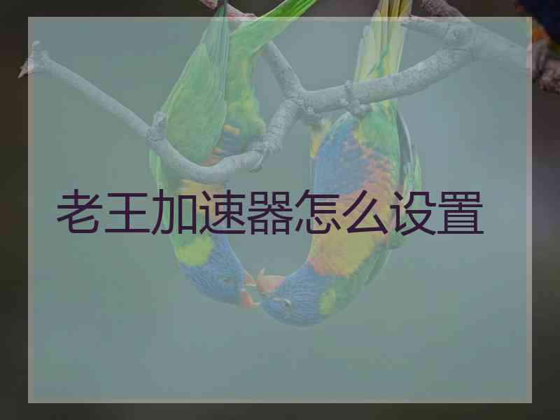 老王加速器怎么设置