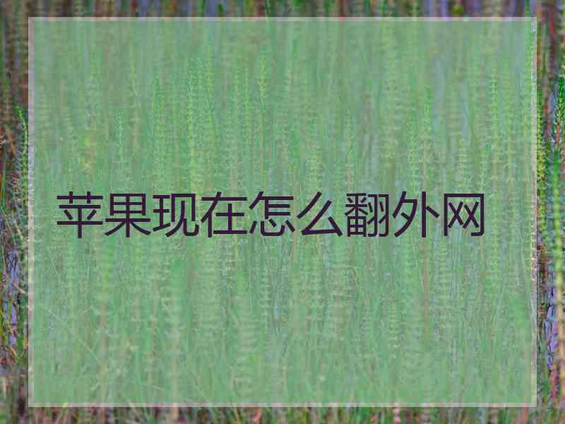 苹果现在怎么翻外网