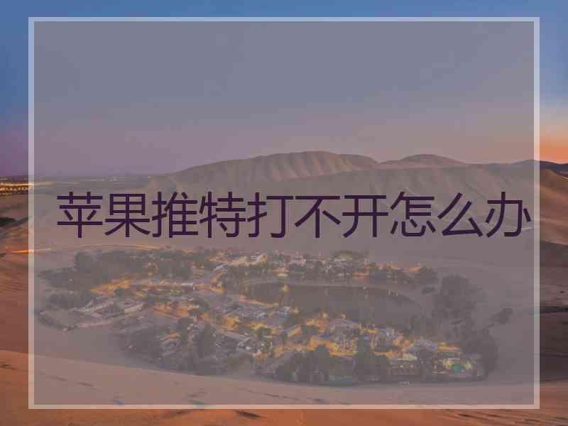 苹果推特打不开怎么办