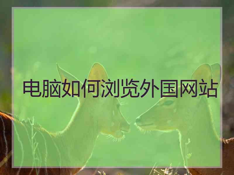 电脑如何浏览外国网站