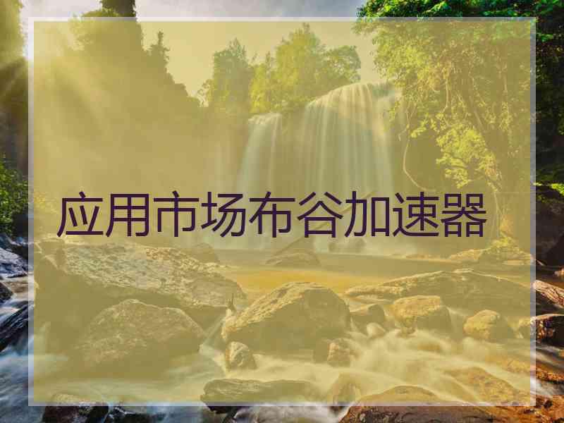 应用市场布谷加速器