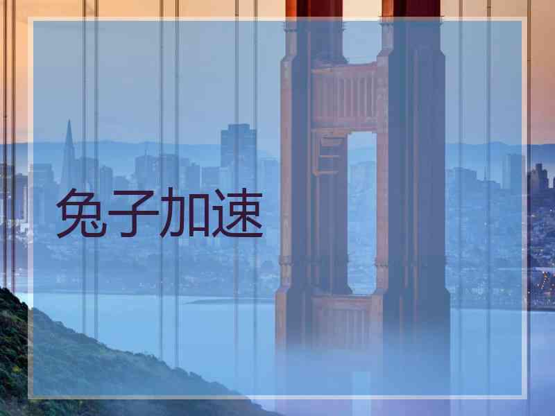 兔子加速