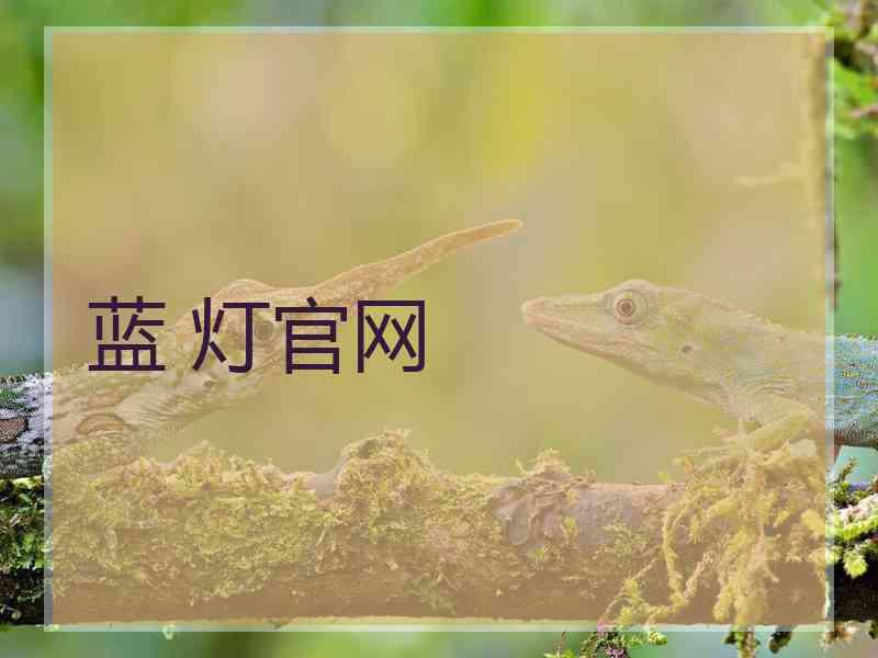 蓝 灯官网