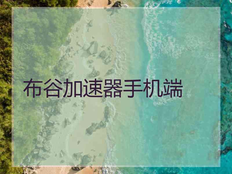 布谷加速器手机端