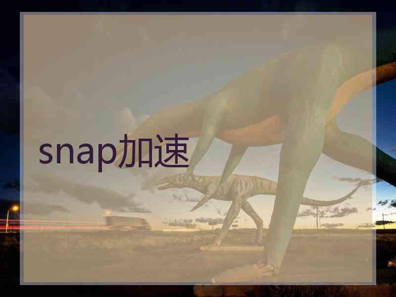 snap加速