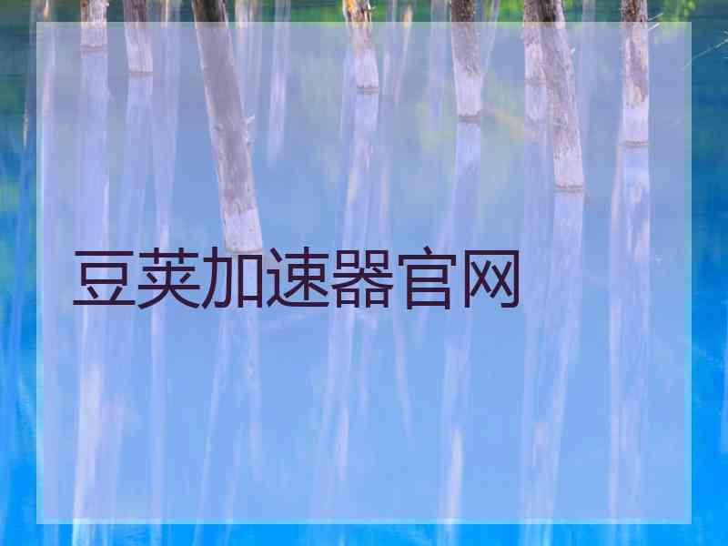 豆荚加速器官网