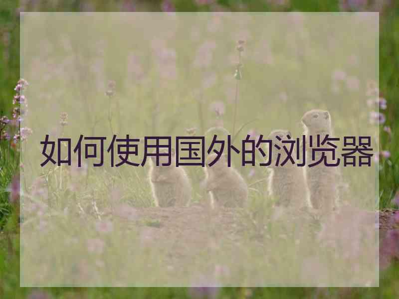 如何使用国外的浏览器