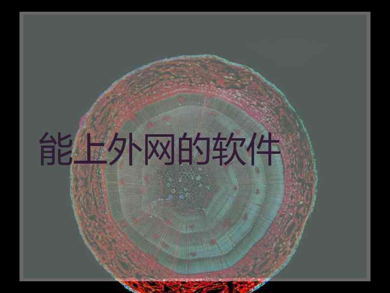 能上外网的软件