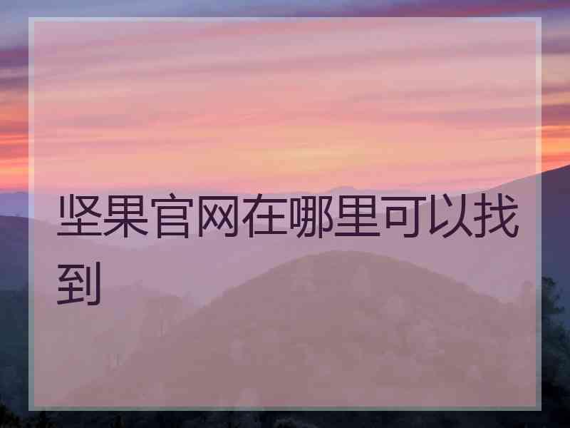 坚果官网在哪里可以找到
