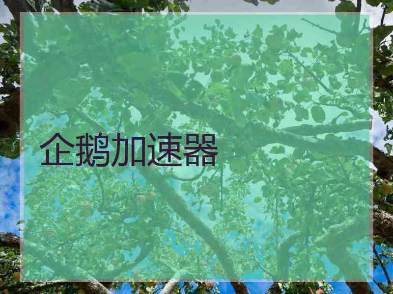 企鹅加速器