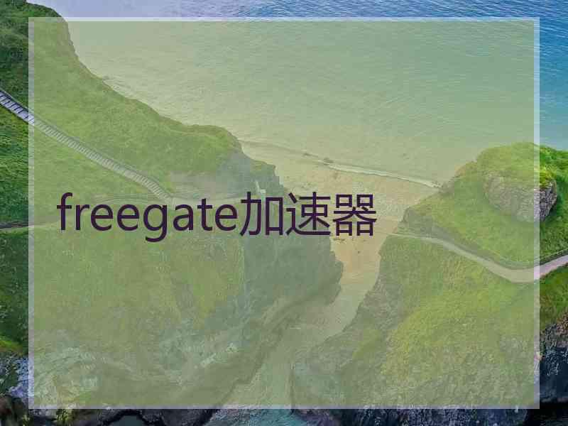 freegate加速器