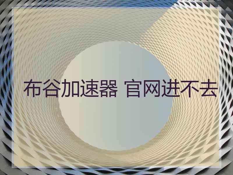 布谷加速器 官网进不去