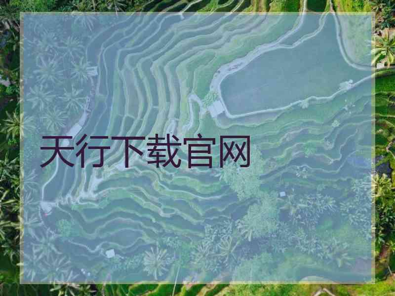天行下载官网